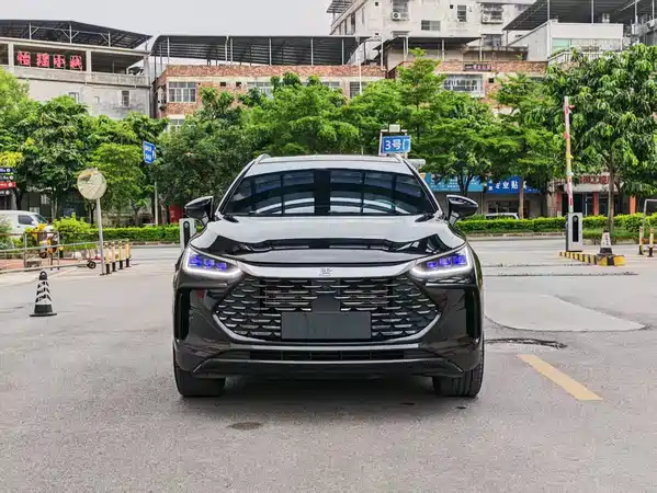 BYD Tang New Energy 2024