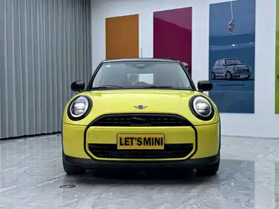 MINI MINI 2025