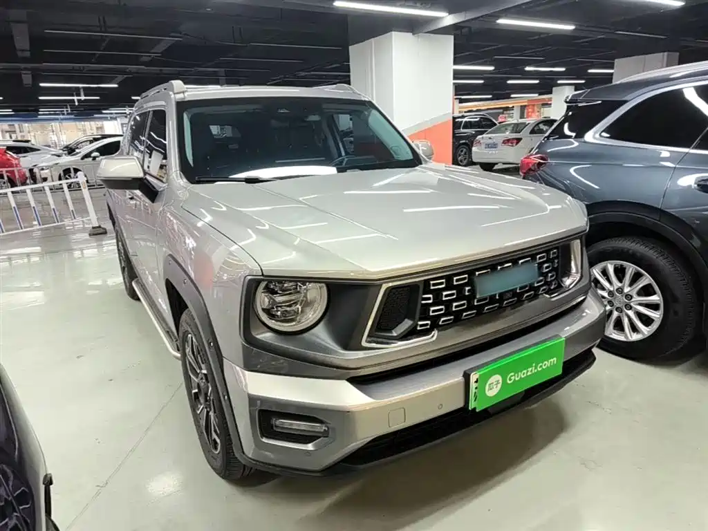 Haval Dargo PLUS EV 2023 — фото 4