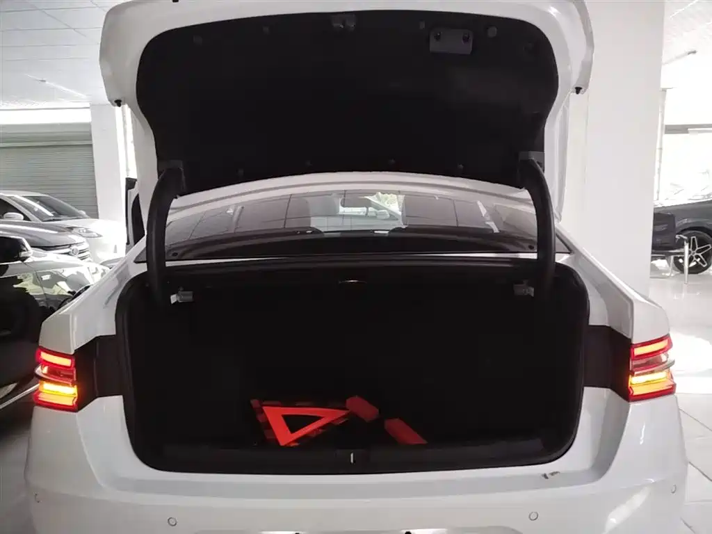 BYD Qin Pro NEV 2020 — фото 19