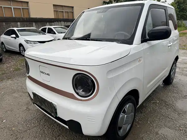 Geely Galaxy Panda 2024