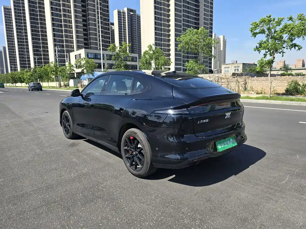 IM LS6 2025 — фото 7