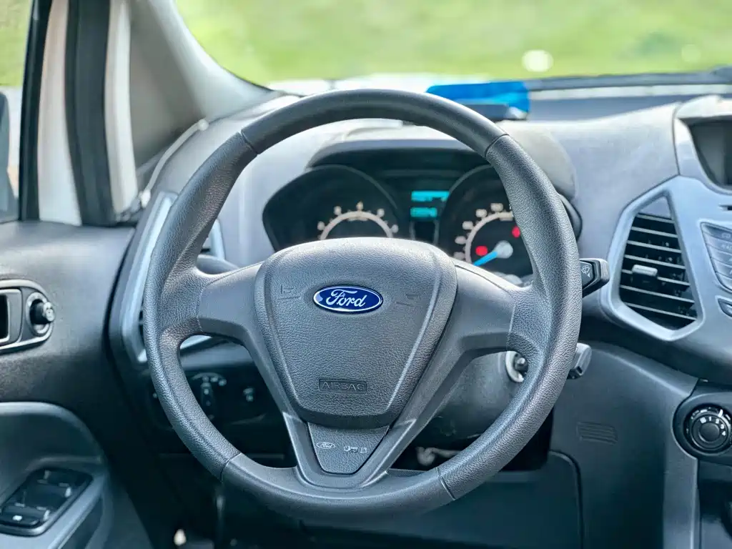 Ford EcoSport 2015 — фото 37