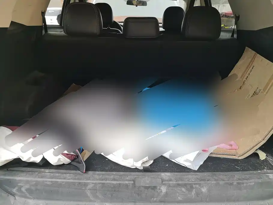 Fengguang S560 2019