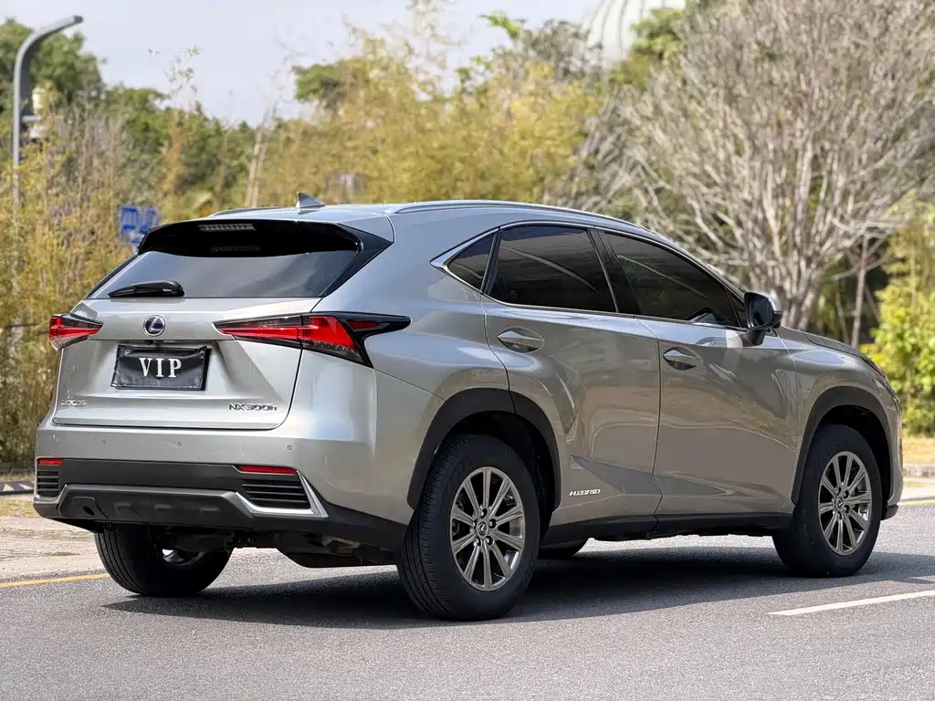 Lexus NX 2021 — фото 16