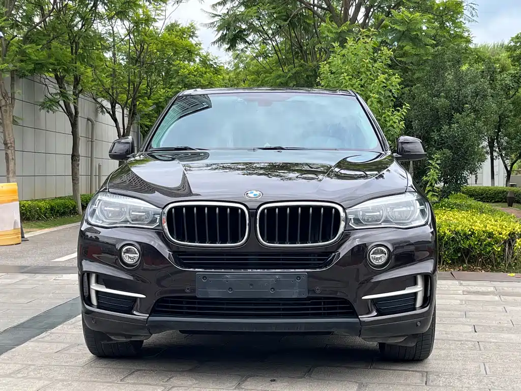 BMW X5 2017 — фото 2