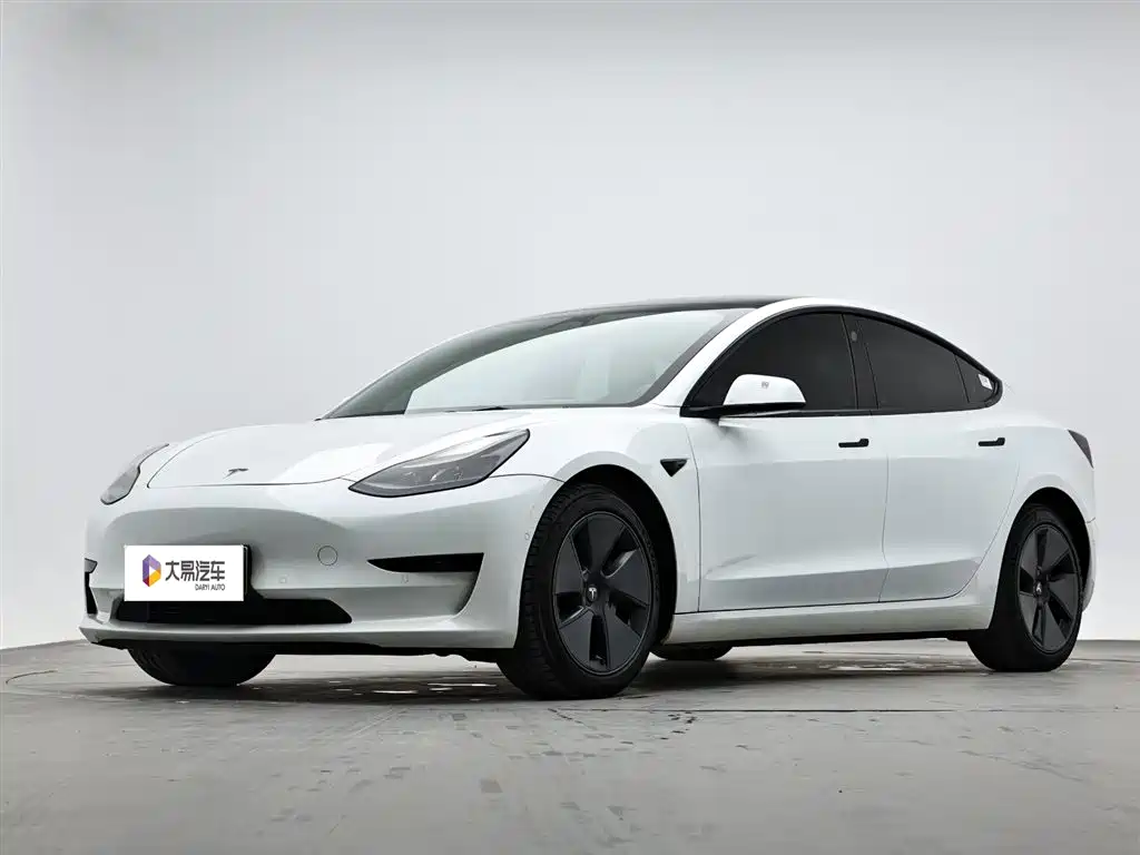 Tesla Model 3 2021 — фото 1