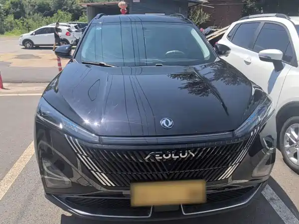 Dongfeng Haohan 2023