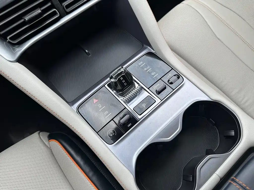 BYD PLUS New Energy 2024 — фото 25