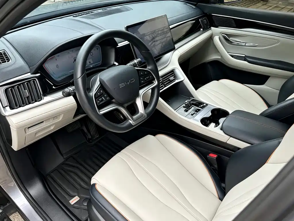 BYD PLUS New Energy 2024 — фото 20