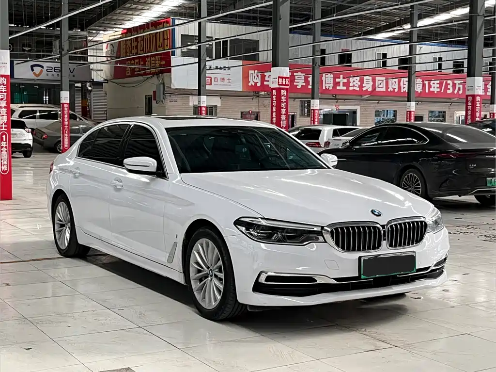BMW 5 Series New Energy 2019