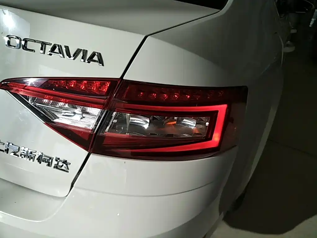 Skoda Octavia 2019 — фото 8