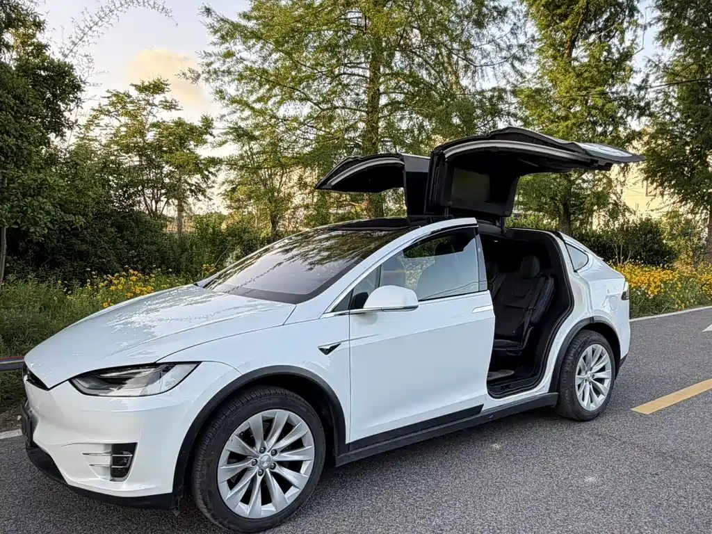Tesla Model X 2020 — фото 8