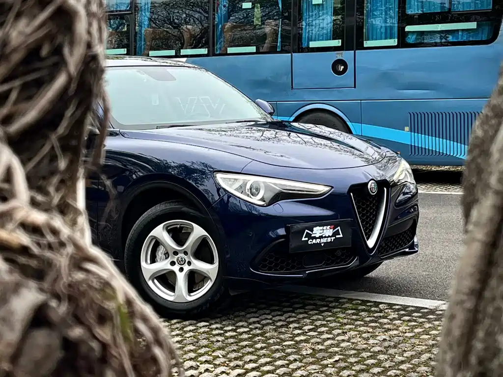 Alfa Romeo Stelvio 2019 — фото 4