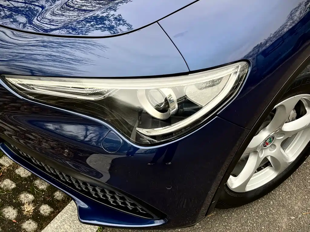 Alfa Romeo Stelvio 2019 — фото 12
