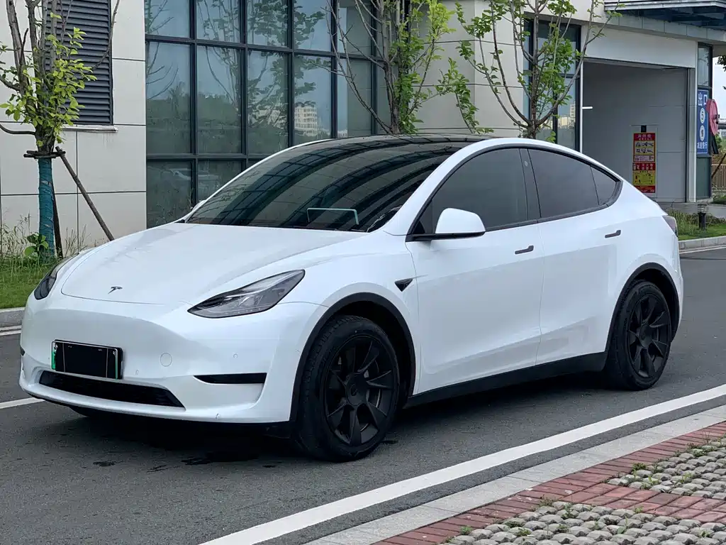 Tesla Model Y 2023 — фото 1