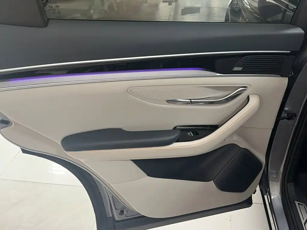 BYD PLUS New Energy 2022 — фото 14