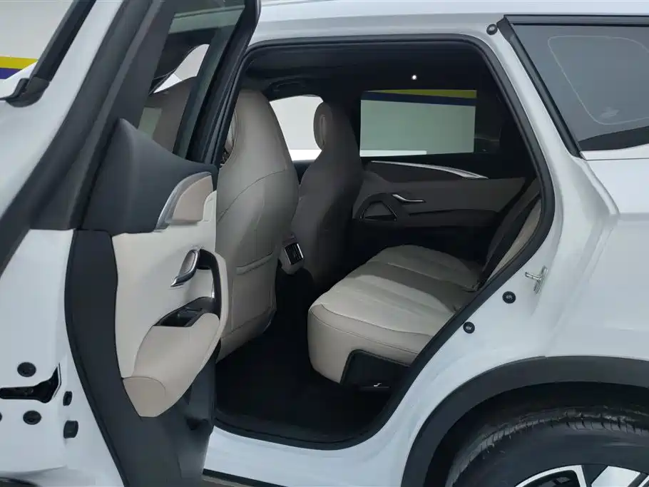 BYD Pro New Energy 2024 — фото 11