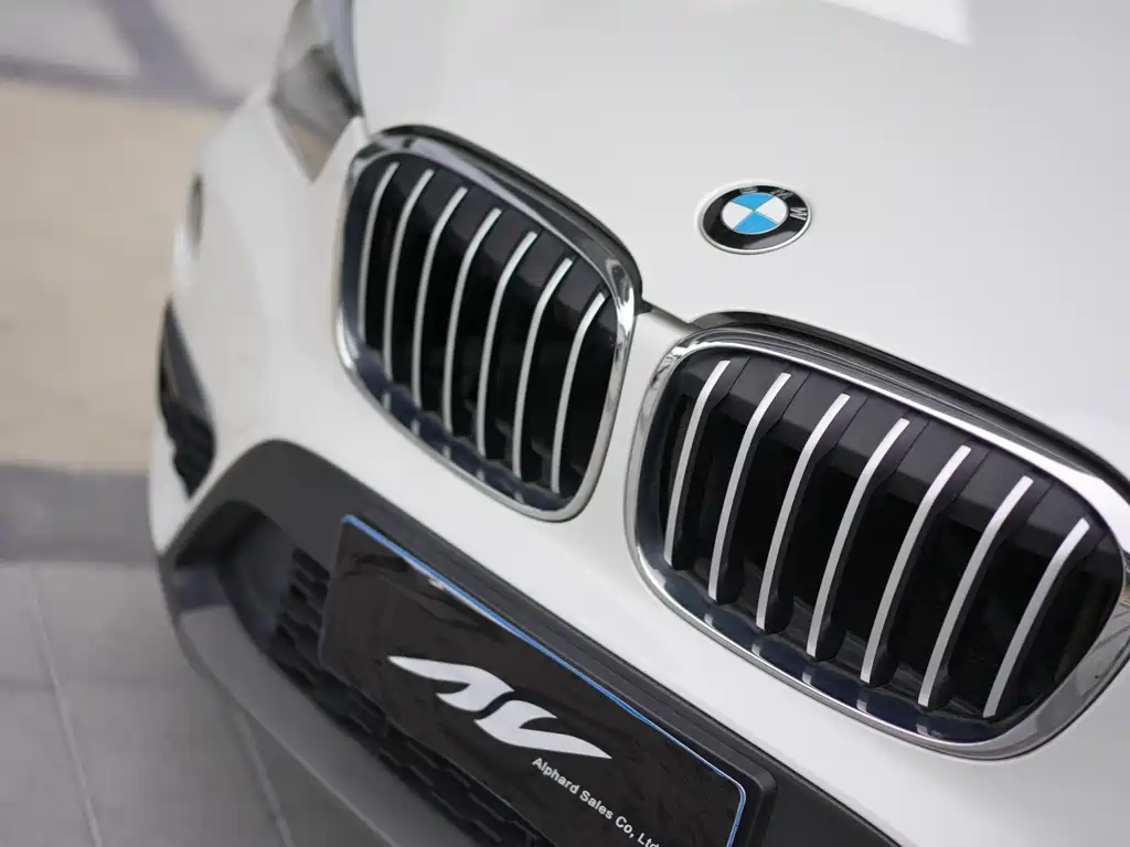 BMW X1 2018 — фото 6