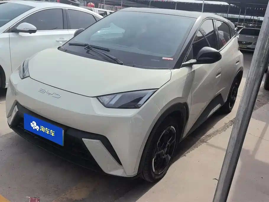 BYD Seagull 2024 — фото 1