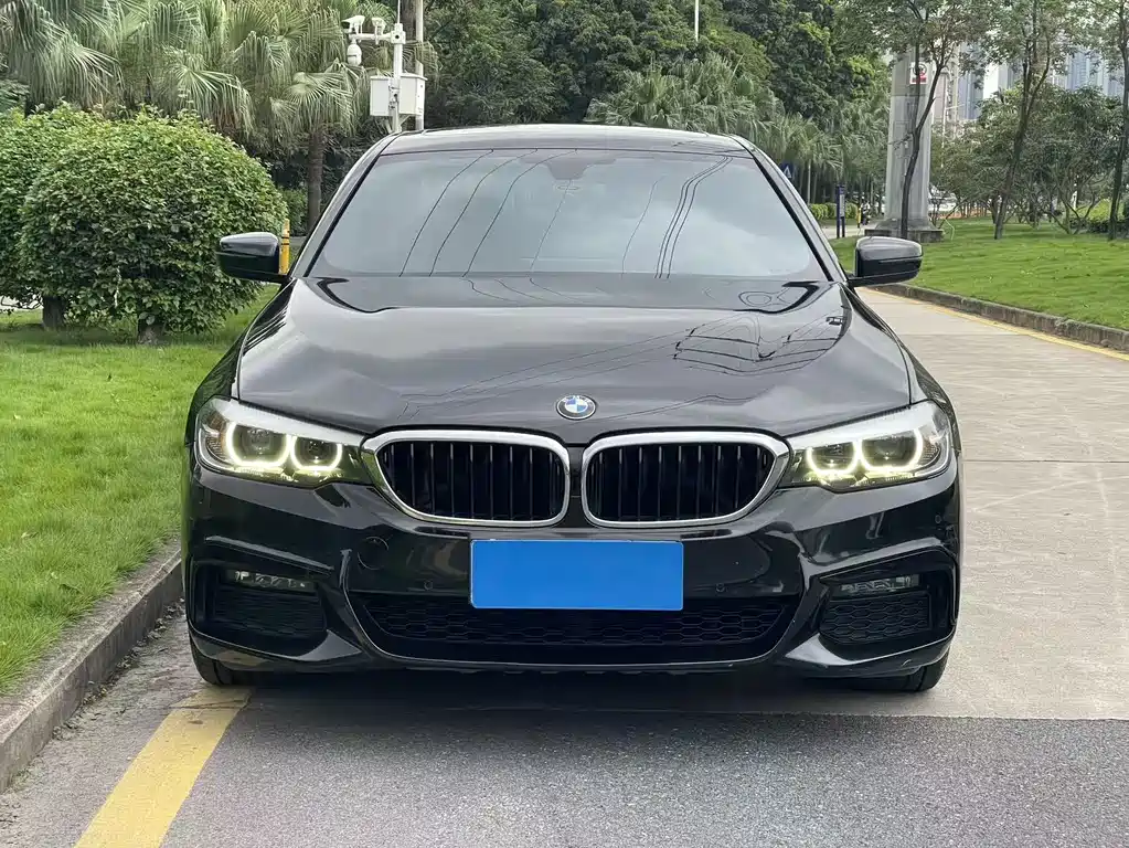 BMW 5 Series 2019 — фото 2
