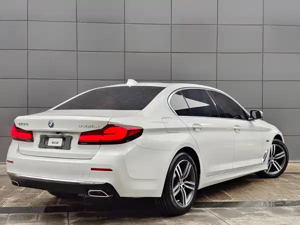 BMW 5 Series New Energy 2022