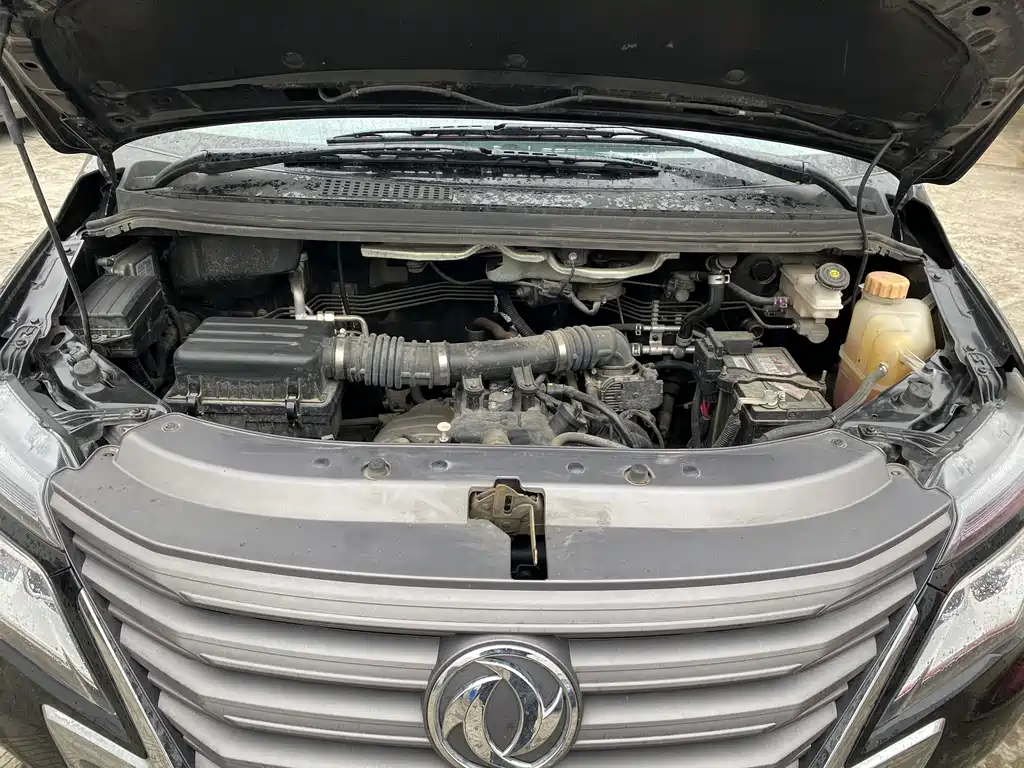 Dongfeng Lingzhi 2020