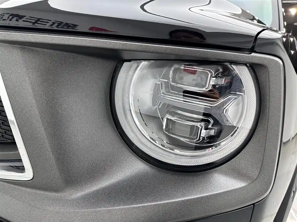 Haval Dargo PLUS EV 2023 — фото 29