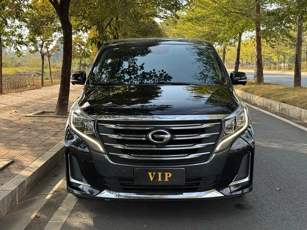 GAC Motor Trumpchi M8 2019 — фото 2