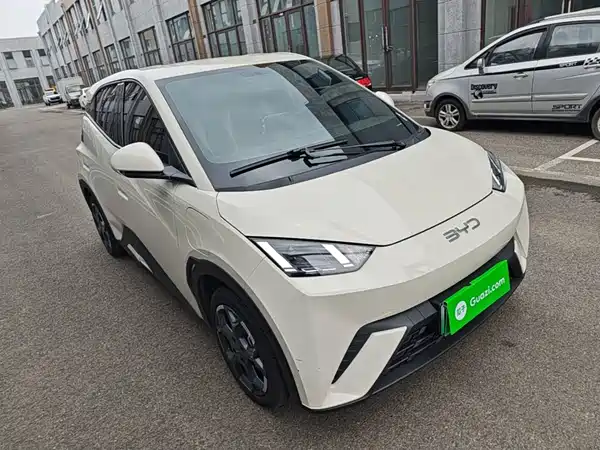 BYD Seagull 2024
