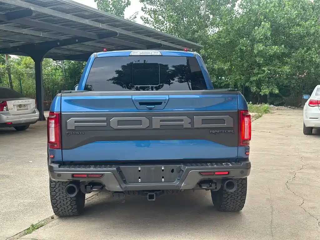 Ford F-150 Raptor 2019 — фото 8