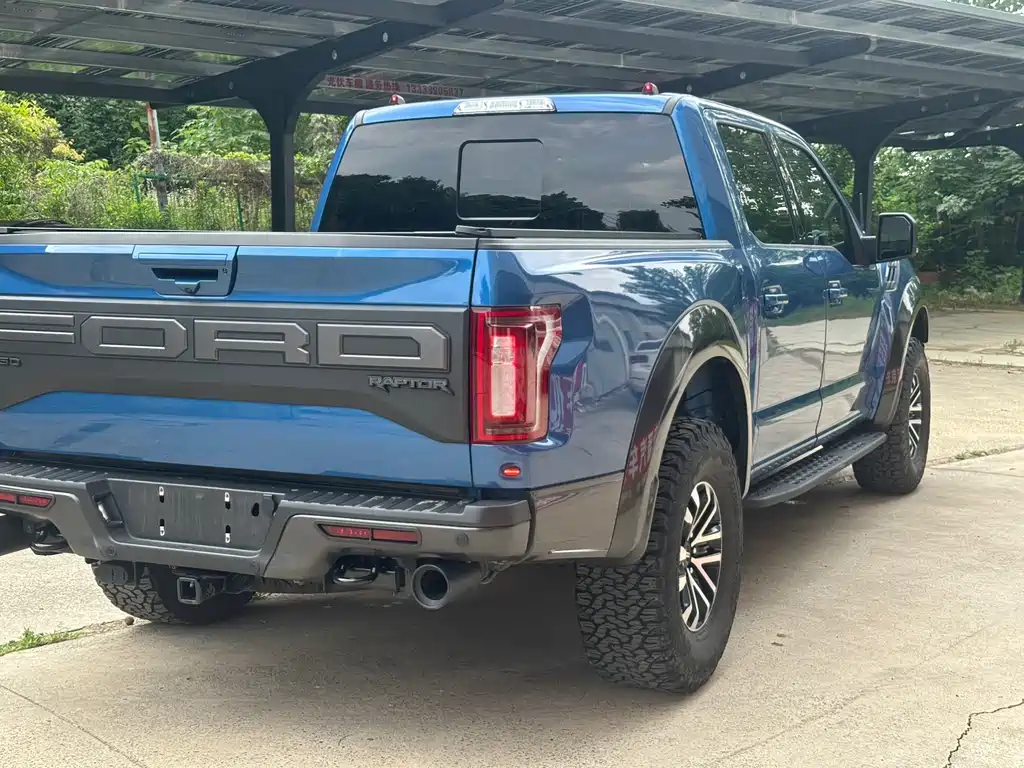 Ford F-150 Raptor 2019 — фото 6