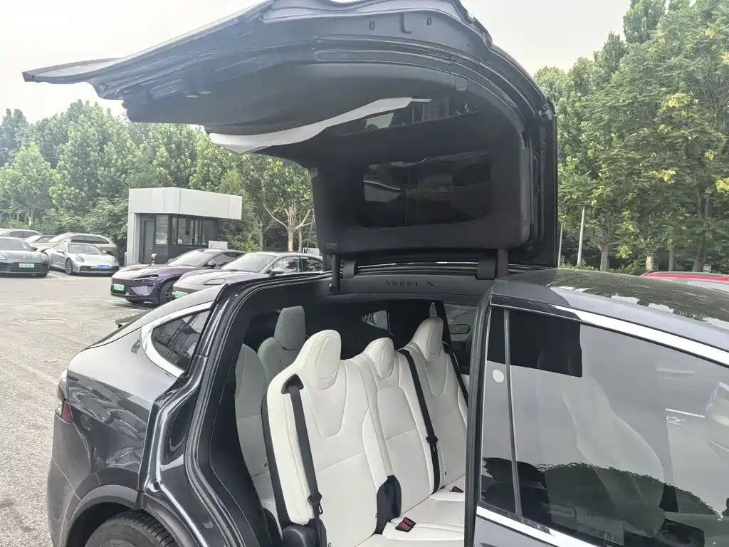 Tesla Model X 2018 — фото 11