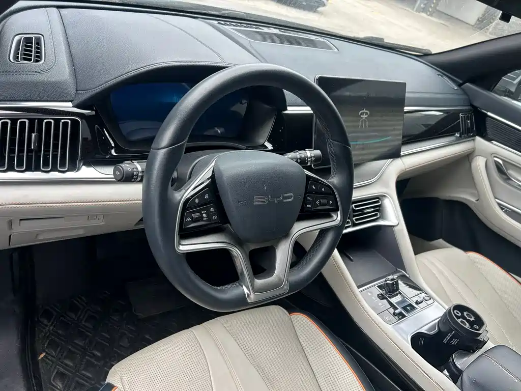 BYD PLUS New Energy 2024 — фото 3