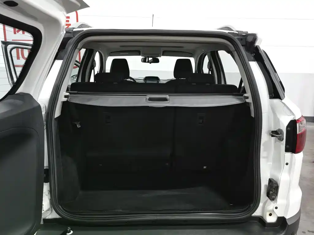 Ford Ecosport 2013 — фото 16