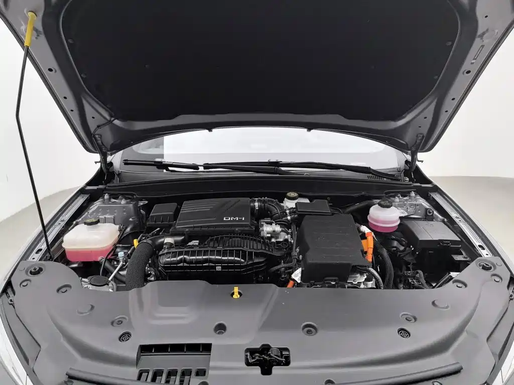 BYD Qin PLUS 2024