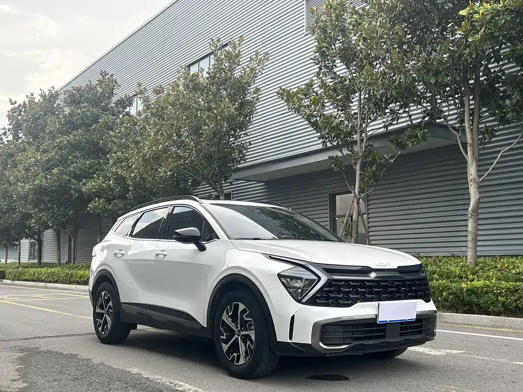 Kia Lion Platinum Expands The Boundary 2024 — фото 2