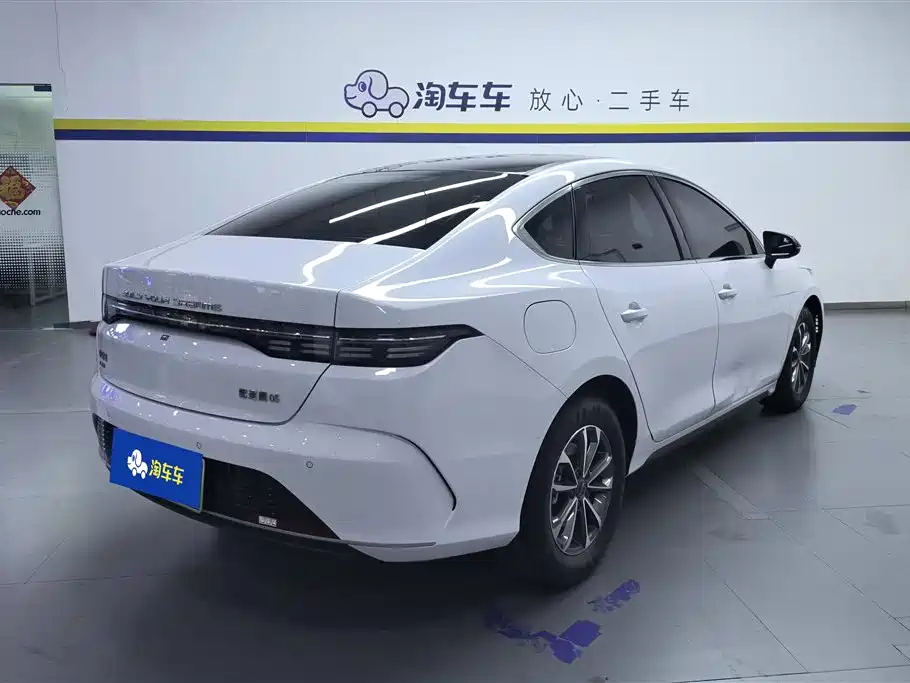 BYD Destroyer 05 2024 — фото 3