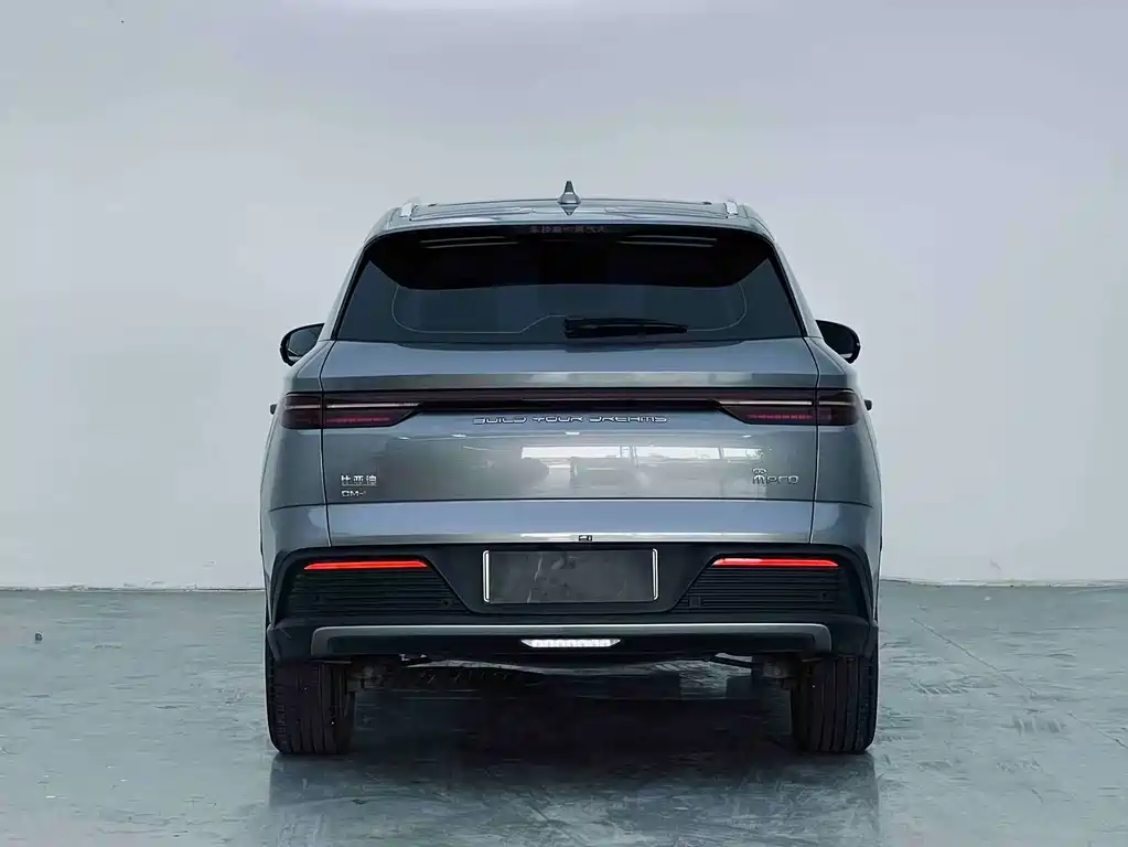 BYD Pro New Energy 2023 — фото 8