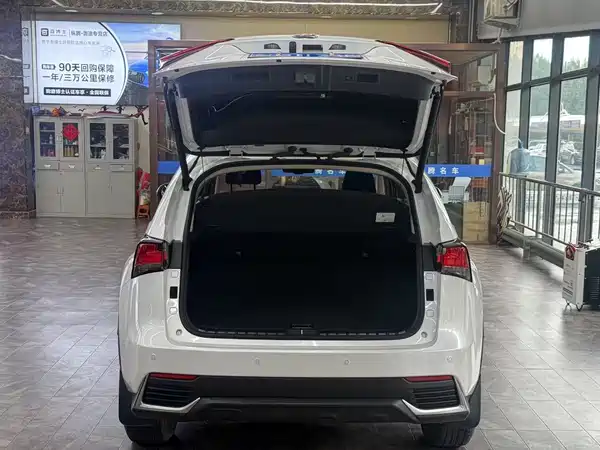 Lexus NX 2020