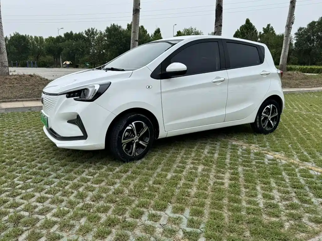 Changan Benben E-Star 2020