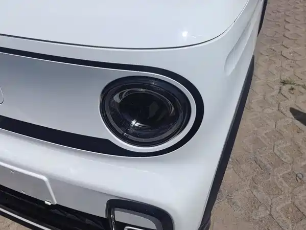 Geely Galaxy Panda 2024