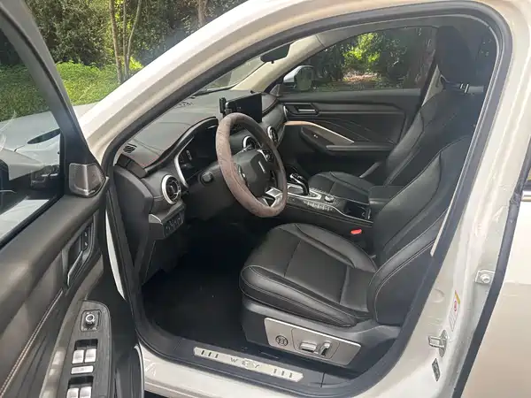 Wey VV6 2020