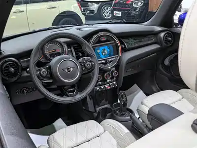 MINI MINI 2019