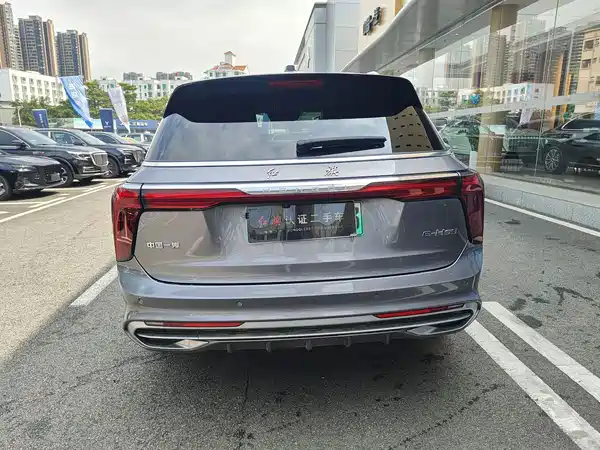 Hongqi E-HS9 2022