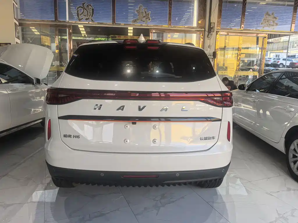 Haval H6 2022 — фото 10