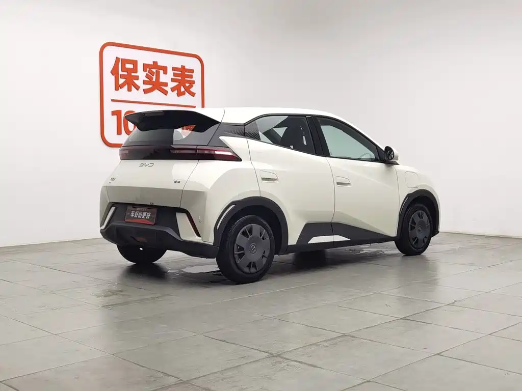 BYD Seagull 2024