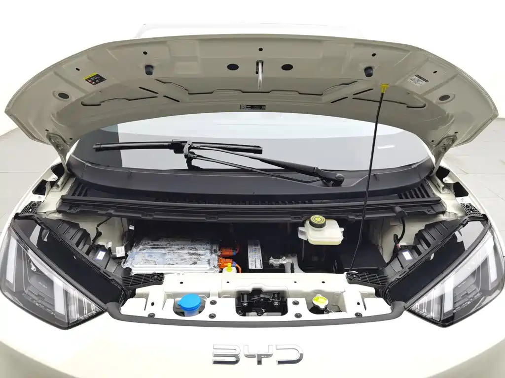 BYD Seagull 2024