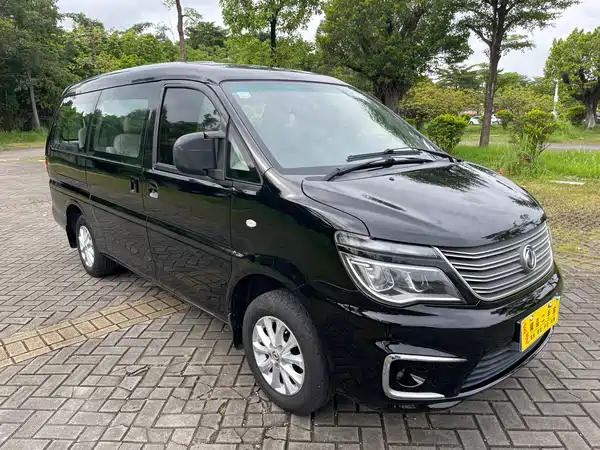 Dongfeng Lingzhi 2018