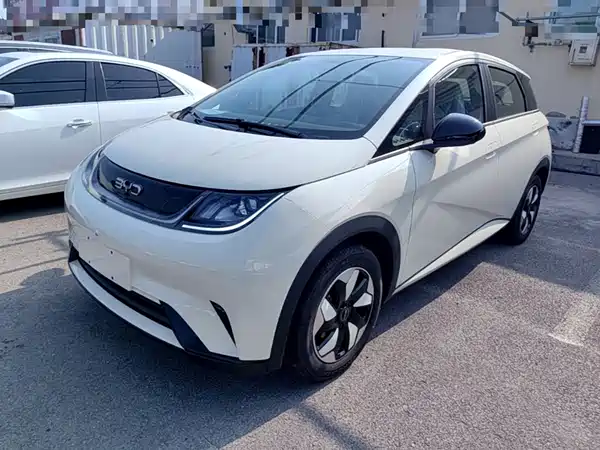 BYD Dolphin 2026